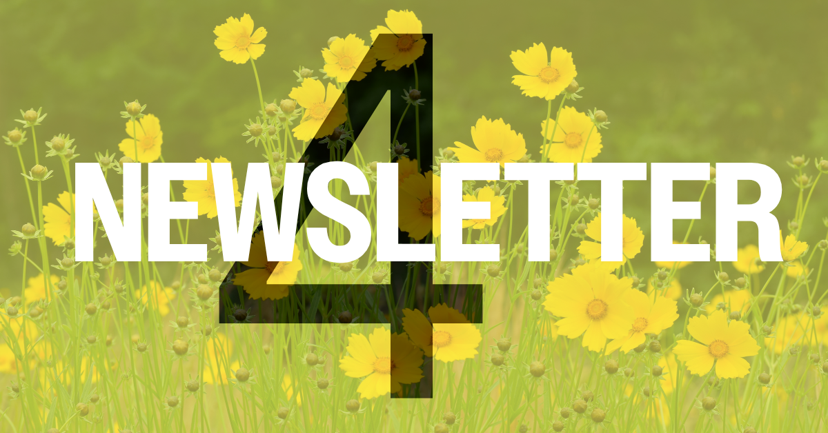 Newsletter #4 květen 2026
